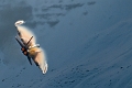108_Axalp_FA-18C Hornet
